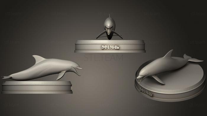 3D модель Реалистичный Дельфин (STL)
